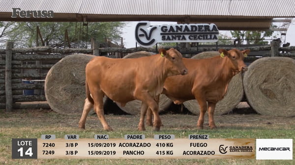 Lote Ganadera Santa Cecilia - Lote 14