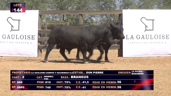 Lote LA GAULOISE CAMPOS Y HACIENDAS  - LOTE 144