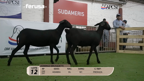 Lote Nacional Santa Inés Campo - Lote 12