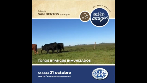 Lote Cabaña San Bentos
