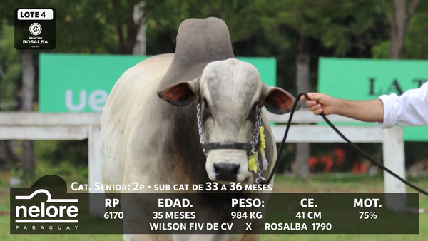 Lote LOTE 4 - BOZAL