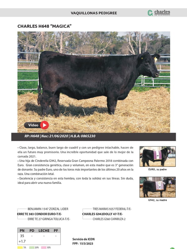 Lote VAQUILLONAS PEDIGREE