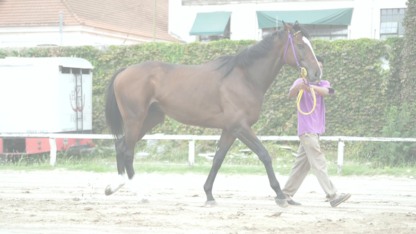 Lote NOVEMBER RIDE (RERIDE -  MONTE UDALA) EN TRAINING
