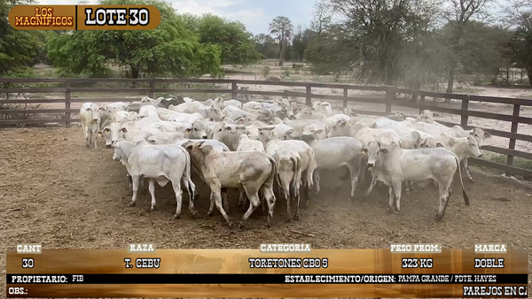 Lote LOTE 30
