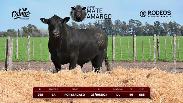 Lote RP 298 SA