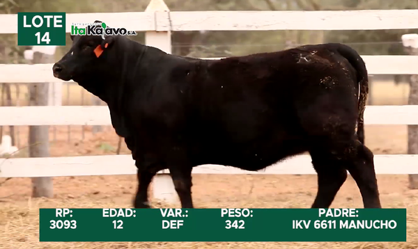 Lote LOTE 14