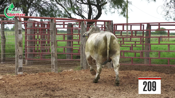 Lote Brahman