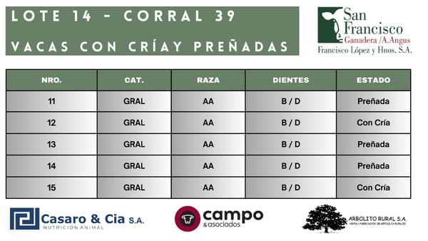 Lote Vacas con Cría y Preñadas San Francisco