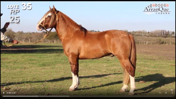 Lote 1 Padrillo Criollo PP - Santa Anita, Entre Rios