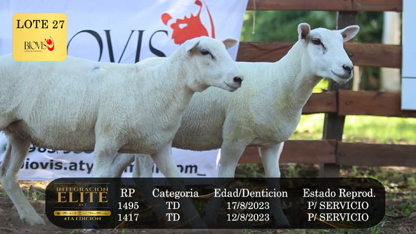 Lote LOTE 27