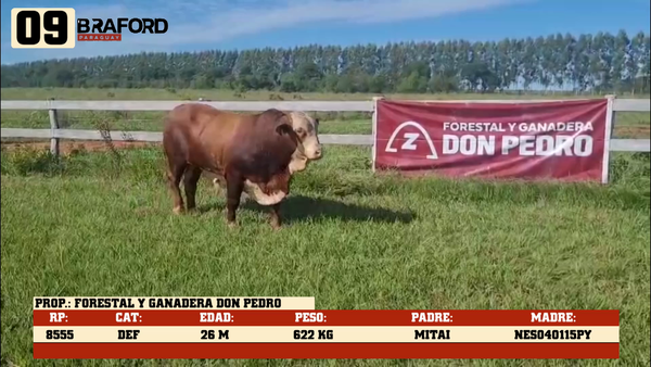 Lote LOTE 9