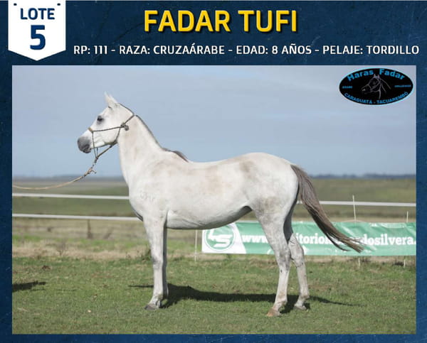 Lote FADAR TUFI
