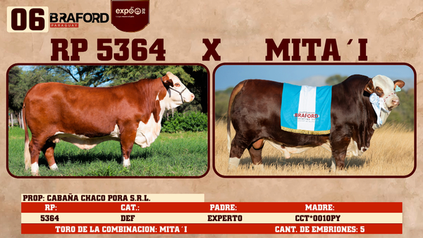 Lote LOTE 6