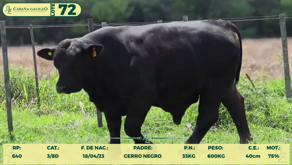 Lote LOTE 72