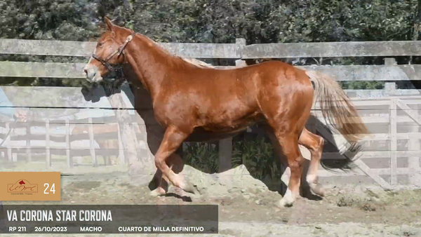 Lote Va Star Corona Star Corona