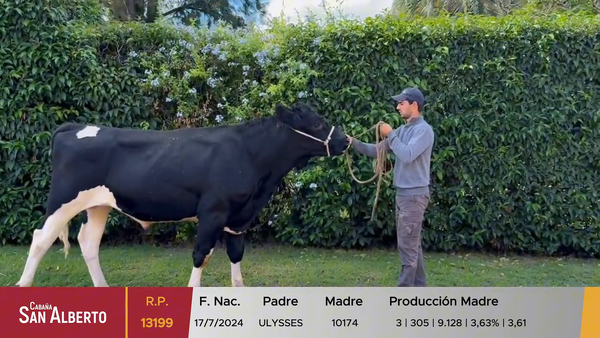 Lote Toros, Canelones