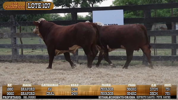 Lote LOTE 107 - PANTALLA