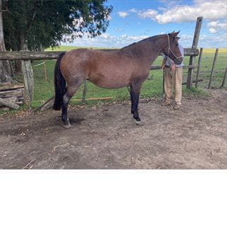 Lote SANTA GLORIA LA ESPERADA