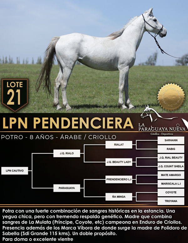 Lote LPN PENDENCIERA