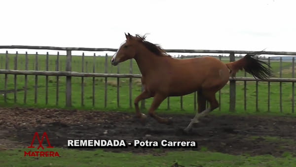 Lote Remendada
