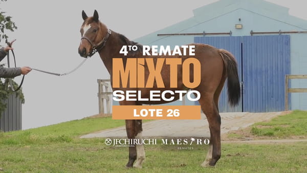 Lote VANTAGIO