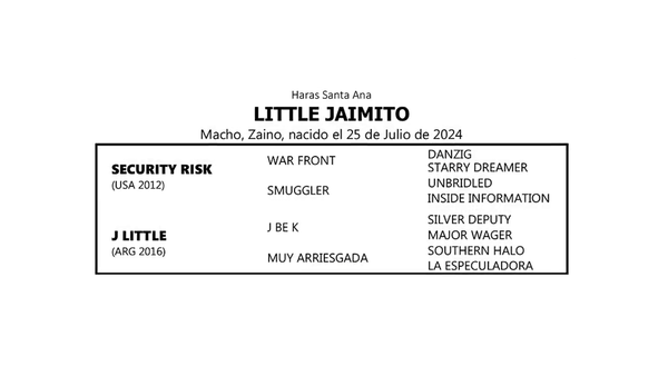 Lote LITTLE JAIMITO