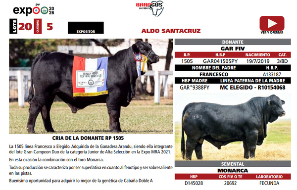 Lote LOTE 20