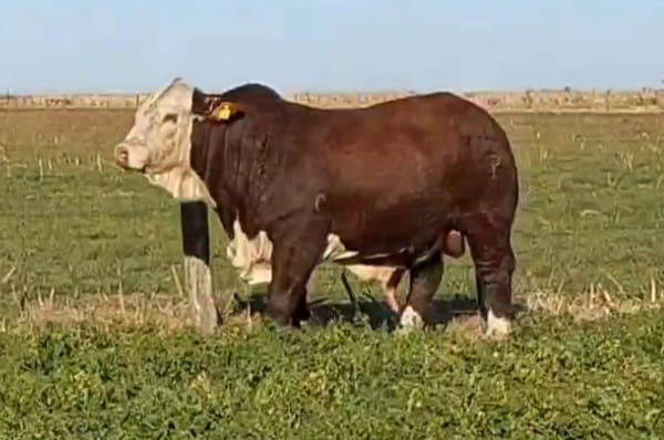 Lote CABAÑA DON JOSE