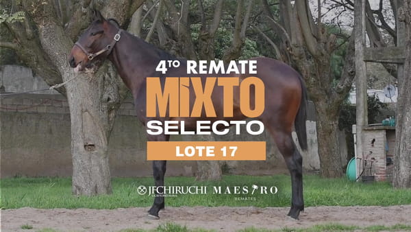 Lote BLACK REAL