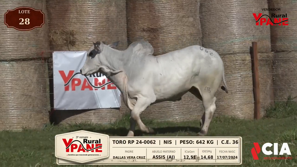 Lote Lote 28