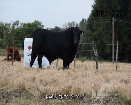 Lote DOS QUEBRACHO 227