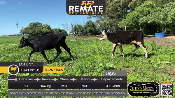 Lote 13 Terneras en Quintón a 7 km de Tarariras, Colonia