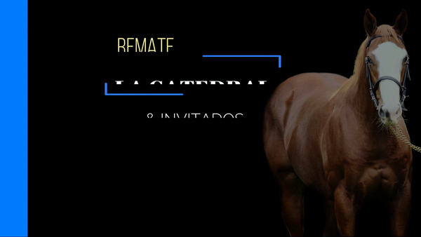 Lote CURIOSA CURTIDA (CURIOSO JOHAN -  CURTIDA GLORY)