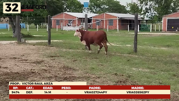 Lote LOTE 32