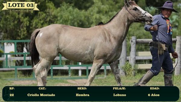 Lote LOTE 3