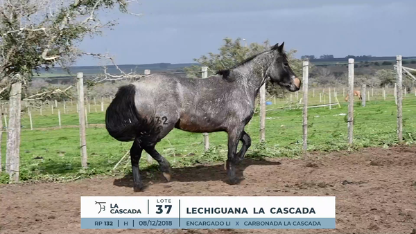 Lote LECHIGUANA LA CASCADA