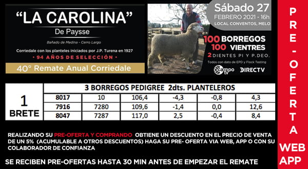 Lote 1 Borregos Planteleros en Cerro Largo, Cerro Largo