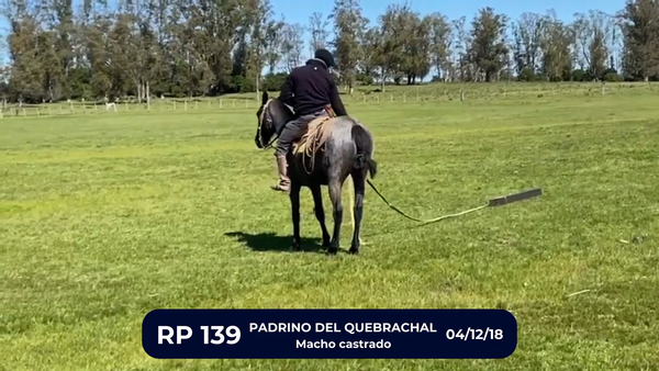 Lote PADRINO DEL QUEBRACHAL