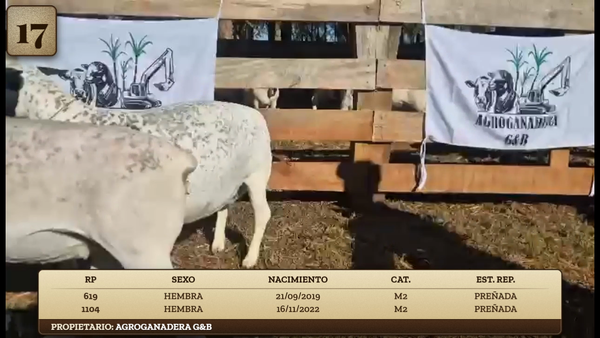 Lote LOTE 17