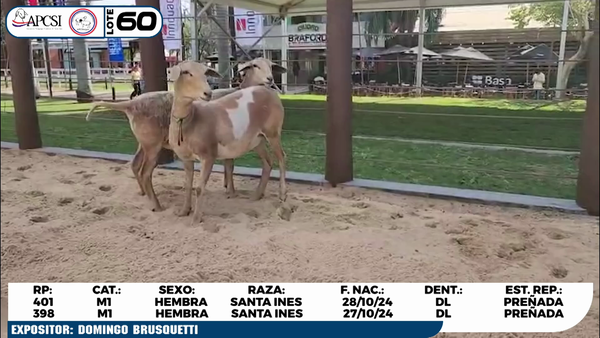 Lote LOTE 60