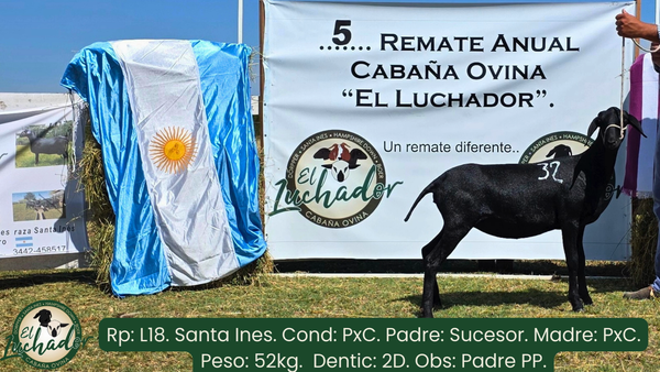 Lote L18