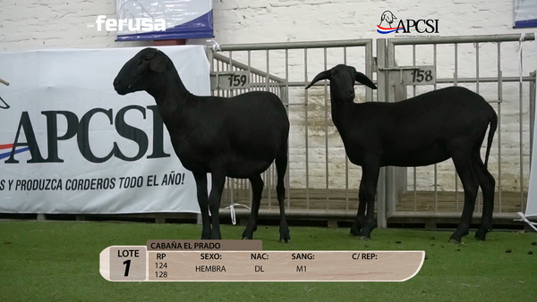 Lote Nacional Santa Inés Campo - Lote 1