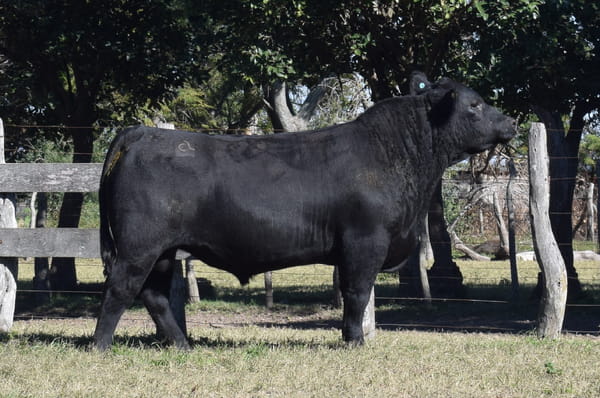 Lote CABAÑA “COEMBOTÁ” de Calderón RP 136