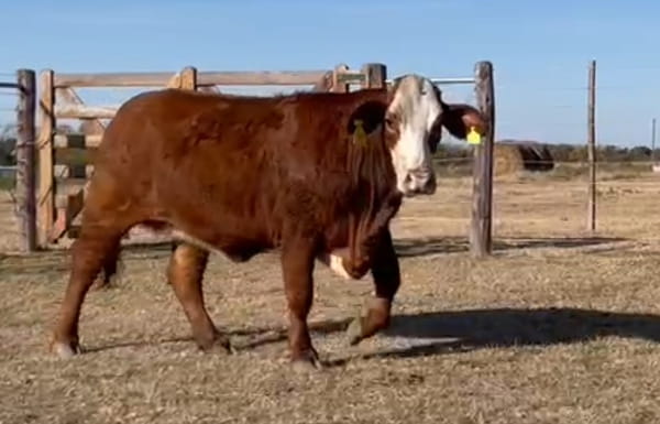 Lote CABAÑA LOS COLONIZADORES