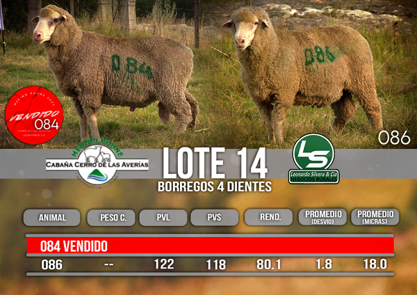Lote LOTE 14