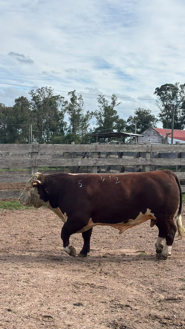 Lote Doña Elisa RP 612