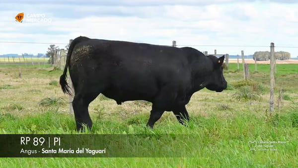 Lote RP 89