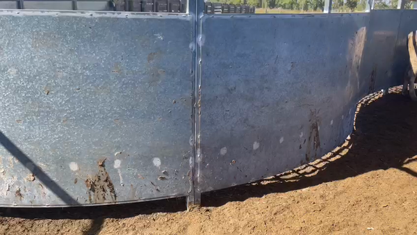 Lote 35 Ternero en Los Ángeles, VIII Región Biobío