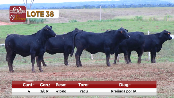 Lote Reproductores de Alborada - Lote 38