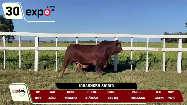 Lote LOTE 30